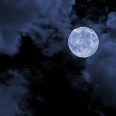 Midnight written by Maddie Larkin & Jon Statham