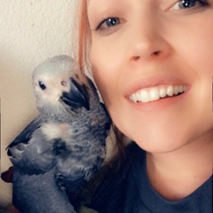 Singing Davy Jones with my Parrot Davy Jones