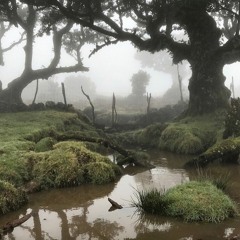 clairo - HOW DID I EVER! (remake & slowed by sora!)