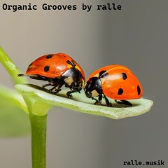 Organic Grooves by ralle