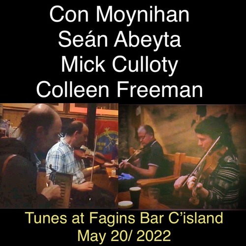 Con Moynihan, Sean Abeyta, Mick Culloty, Colleen Freeman at Fagins Bar