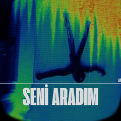 seni aradım
