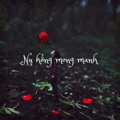 Nụ Hồng Mong Manh - Bích Phương - DJ BiBum Remix