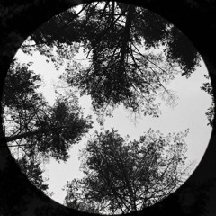 Dense Forest