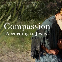 Deep Love from Divine Forgiveness