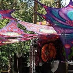 Psykaholiks@Wurzelfestival 2020 - 09