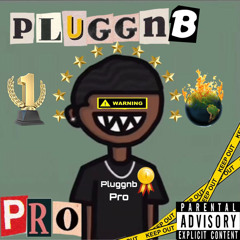 Pluggnb Pro