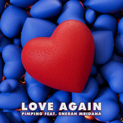 Pimping feat. Snerah Mbidana - Love Again (Radio Mix)