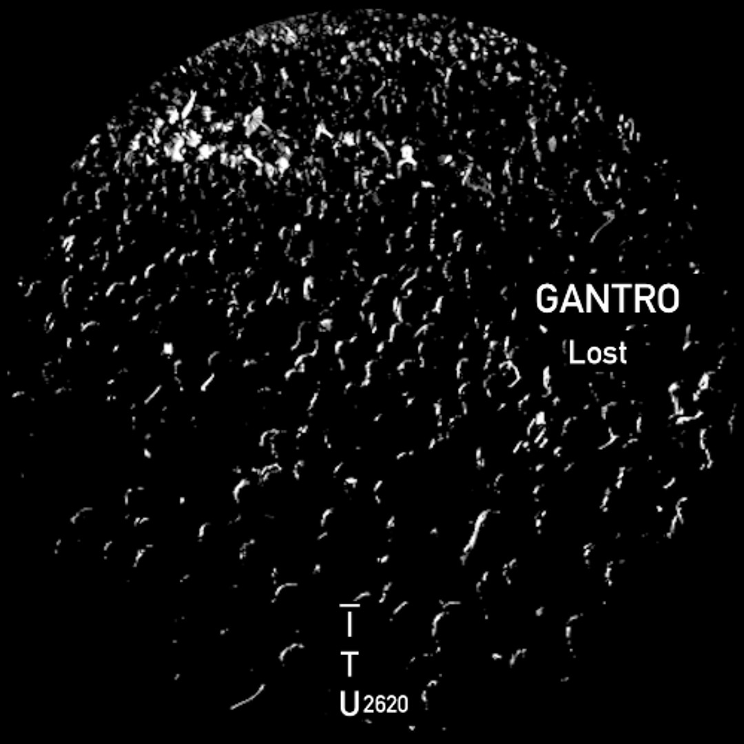 Project Earth | Ernie Watts & Gamalon | Project: Activation