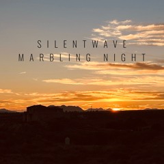 Silentwave - Inspiration #1
