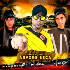 MC CULA ARVORE SECA É NOIS ( DJ PENELOPE LEE E KORINGÃO )
