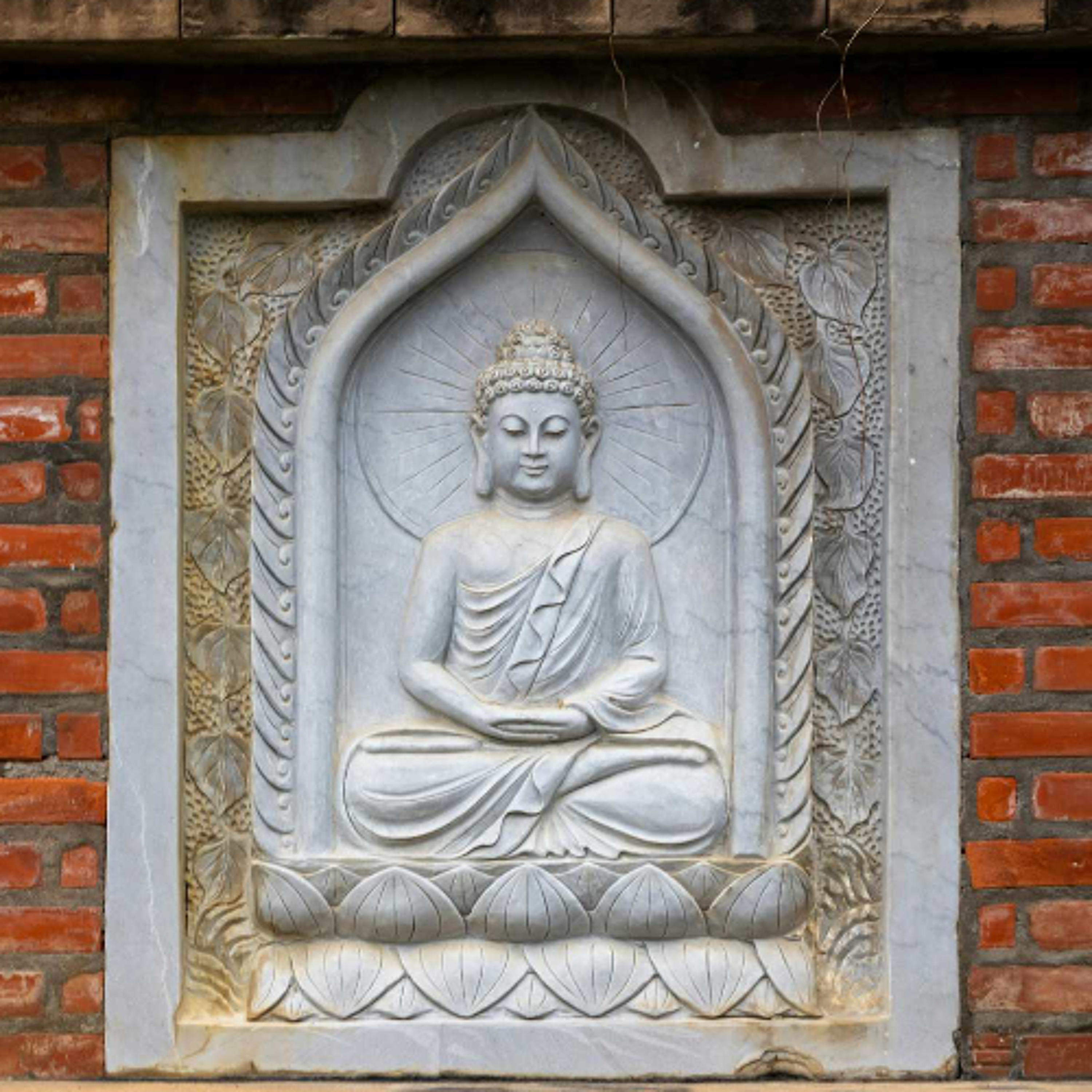 Ep. 540 Riflessioni sulla Compassione verso Sé Stessi