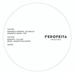 B2 Bruno - Magnetic Pole Motion