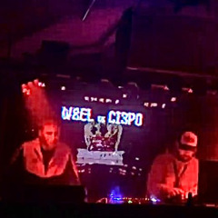 W8EL [THF] & Ci3PO [THF] @Hardtekk ausm Westen_Mikroport Club Krefeld 21.11.2025