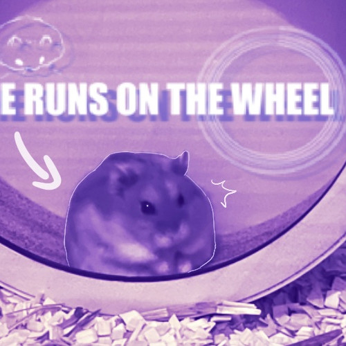 He Runs And Sees