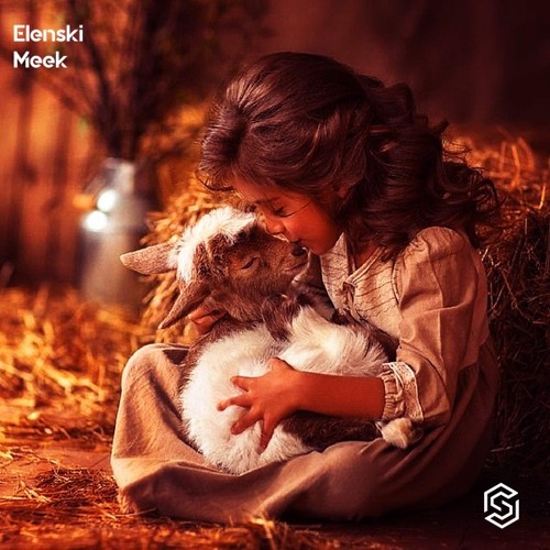 Elenski-Meek (Radio Mix)[Available 1-12-2024]