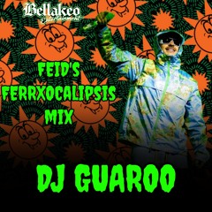 Feid Mix 2024