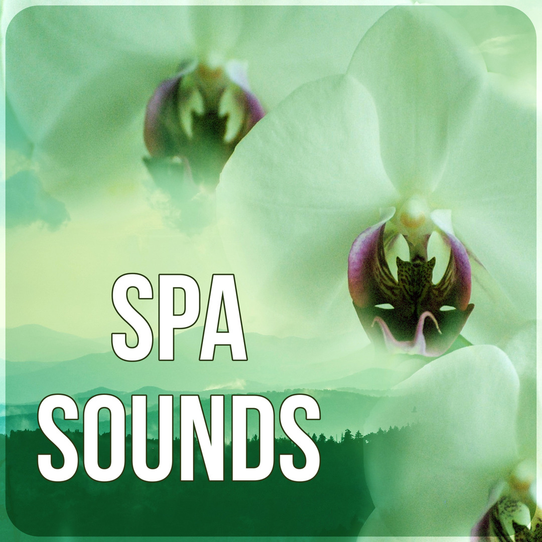 Stream Best Relaxing Music by Thermae Bath Spa Paradise | Listen online ...