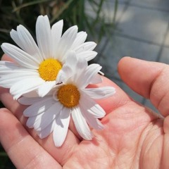 من بيتي لبيتك - سيمونا ضو