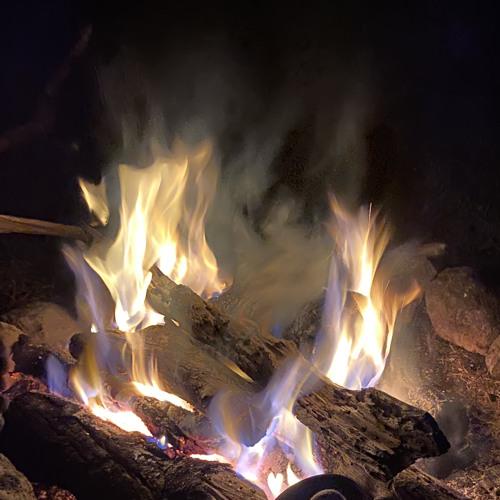 YVNG TEE x YXNG C - KEELY DISS