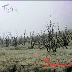 Interlude Two Insanity/Devil Guide