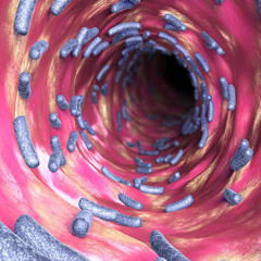 URINARY TRACT INFECTION
