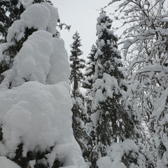 love (prod. romanticism)