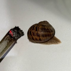 good2seeu prod.bestq