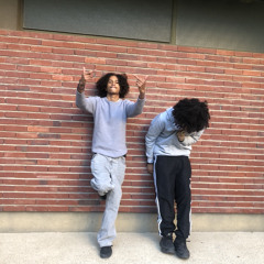 VIN FREESTYLE