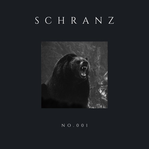 Schranz Content No.001