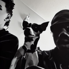 squadlyfe reboot