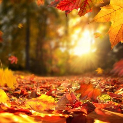 Transitions ~ Dance Temple ~ November 2022