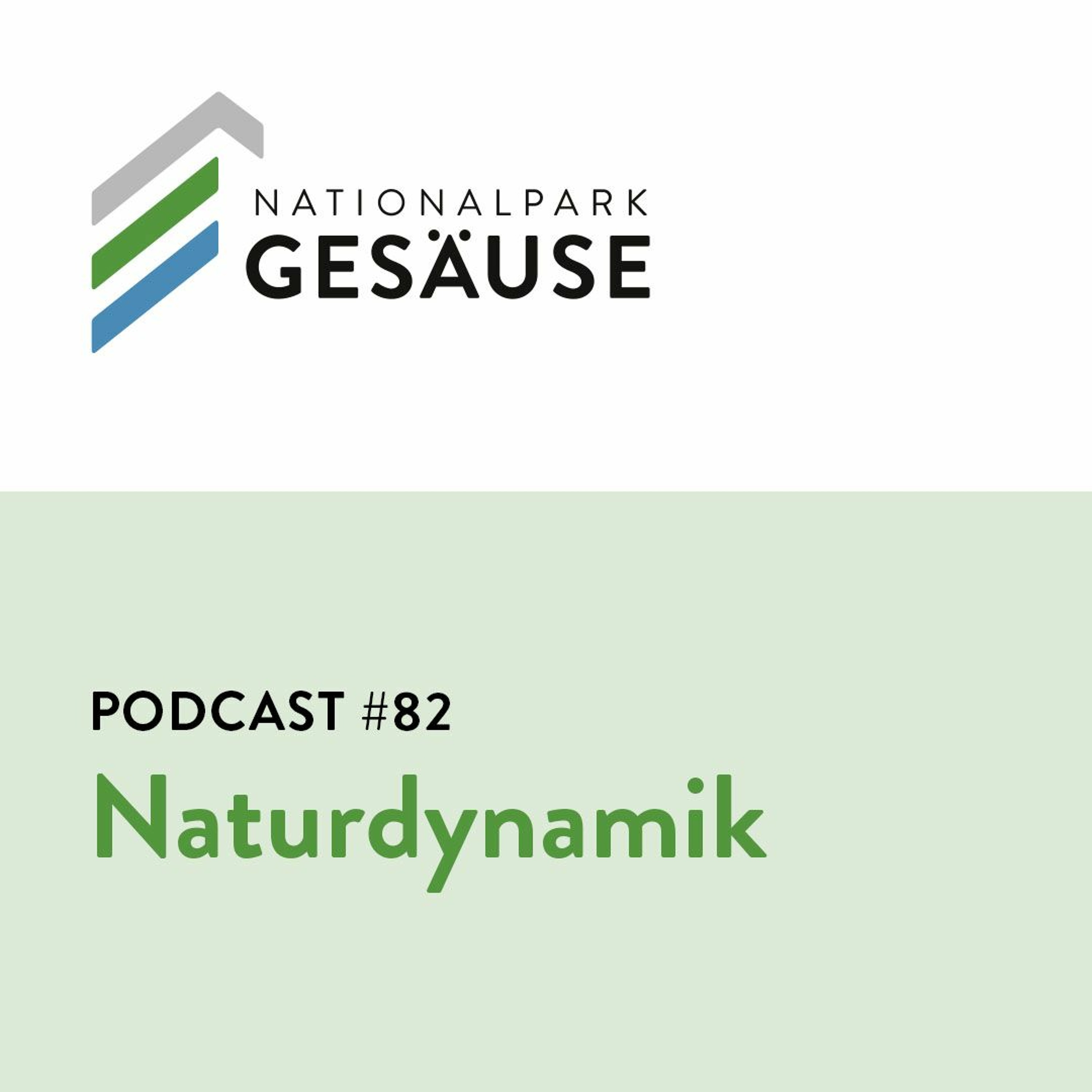 Nationalpark Gesäuse Podcast