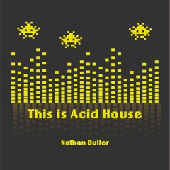 This Is Acid House