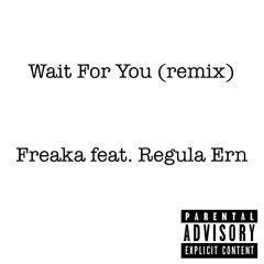 Wait For You (remix) feat. Regula Ern