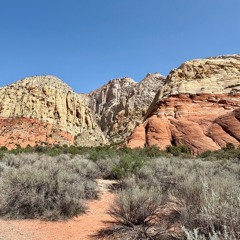 Snow Canyon Utah (Western House)