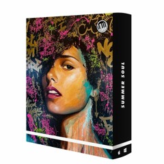 SUMMER SOUL | VINTAGE CHOPPED SAMPLES | DEMO