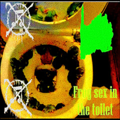 frogi16