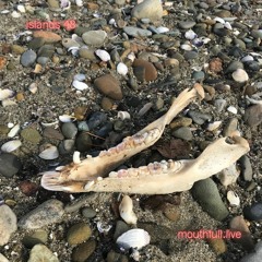 Islands w/ DJ B.Lo - June 29th 2023