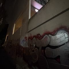 fuck love sample (demo)