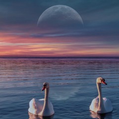 Guzriyal Ji Chinta Na Kar || Satnam Sakshi Bhajan Acoustic || By Yash Makhija