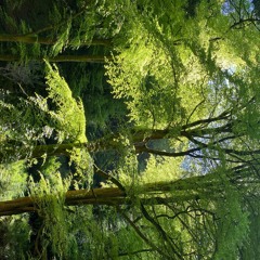 Evergreen Blogpost No2 Feb 2023