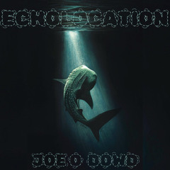 Įœd - Echolocation (FREE DL)