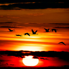 Dusk's Poem