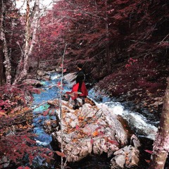 5.ZOMBIES By Lbrack And Jayst25