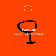 Gaspar recebe Cardume DJs