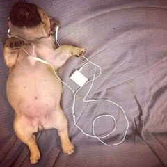 deux cachettes +everest_40