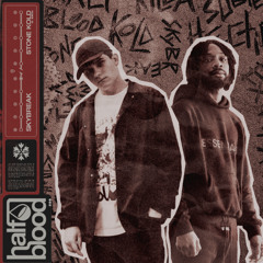 Skybreak & Subten - STONE KOLD