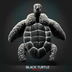 190# PREMIERE: Acid Tymekk - Cold Mind [Black Turtle Records]