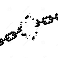 Second Life (full set)